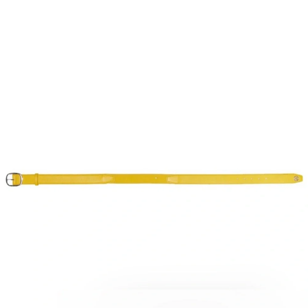 G/Fore Circle G's Webbed Golf Belt
